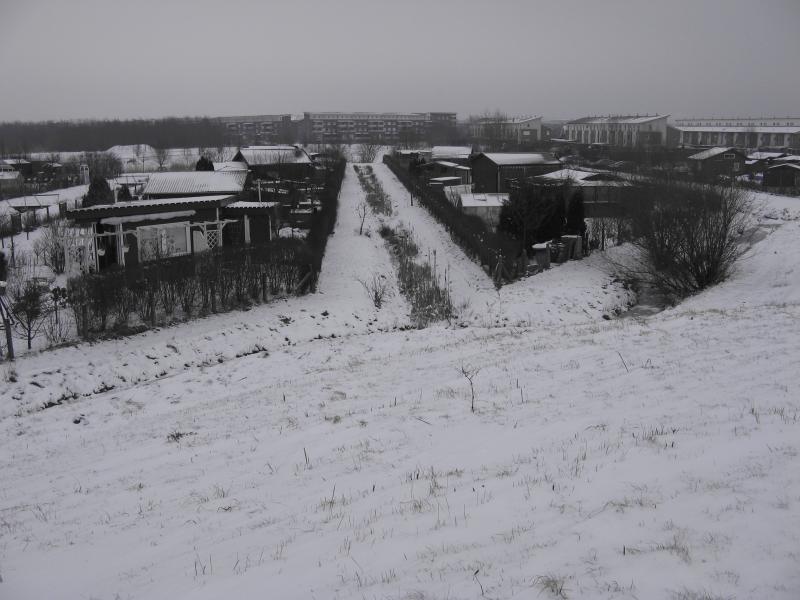 Winter 2007