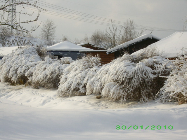 Winter 2009/2010