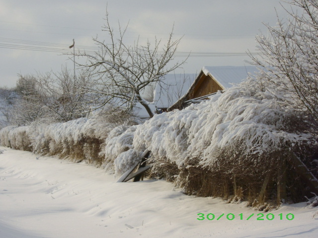 Winter 2009/2010